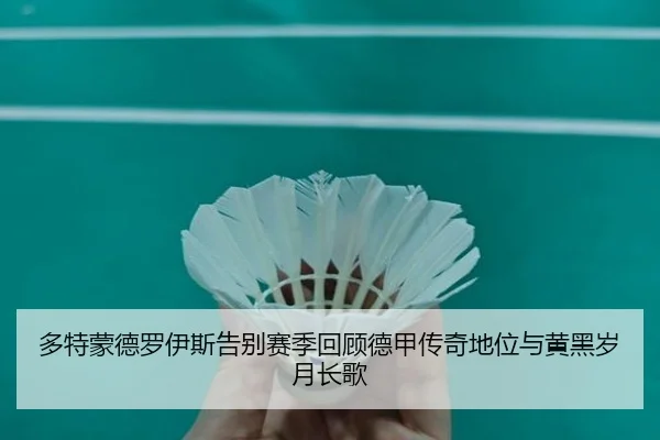多特蒙德罗伊斯告别赛季回顾德甲传奇地位与黄黑岁月长歌