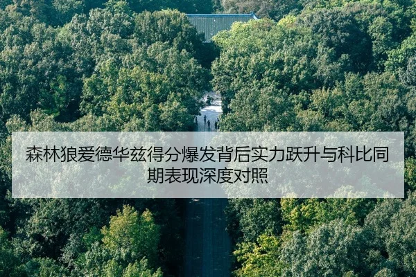 森林狼爱德华兹得分爆发背后实力跃升与科比同期表现深度对照